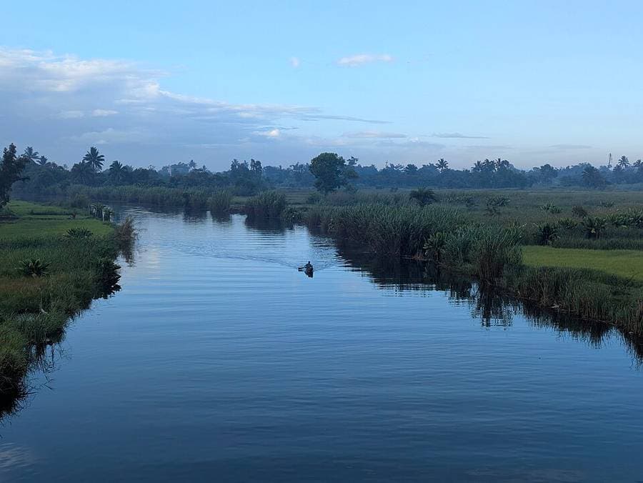 Le canal des Pangalanes bordé de roseaux et de palmiers à Mananjary, une pirogue au loin