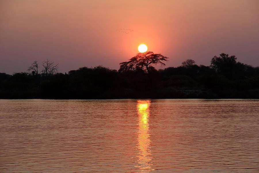 Le soleil couchant se reflète sur l'Okavango, bordé d'une rive boisée en silhouette, dans le parc national de Bwabwata