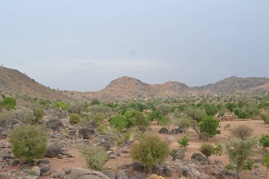 Collines rocheuses et arbustes des monts Mandara, dans l'Extrême-Nord du Cameroun