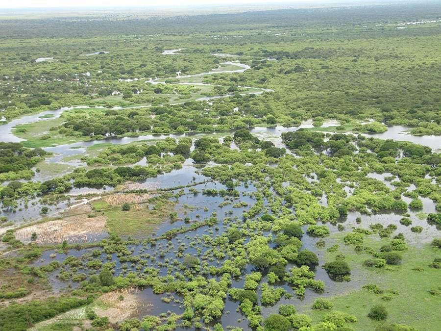 Vue aérienne d'une plaine inondée près de Pibor : des bosquets verts émergent de l'eau à perte de vue