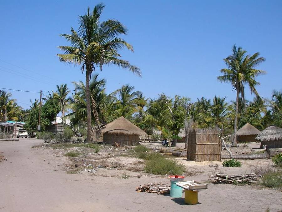 Cases rondes au toit de chaume sous les cocotiers, bois de chauffe à vendre au bord d'un chemin de sable