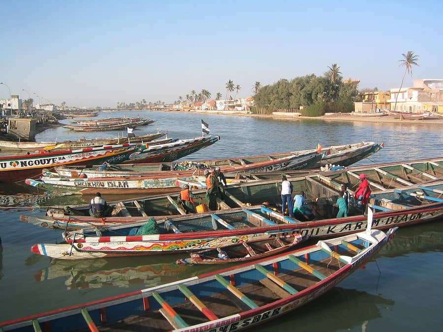 Des pirogues serrées les unes contre les autres dans le port de Saint-Louis, au Sénégal : le pays du proverbe wolof.