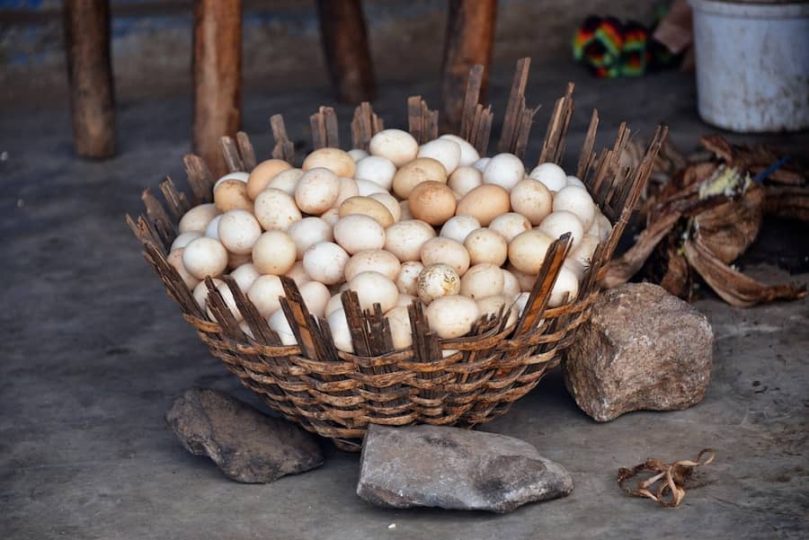 Un panier d'œufs de poule en Éthiopie : ce dont parle le proverbe.