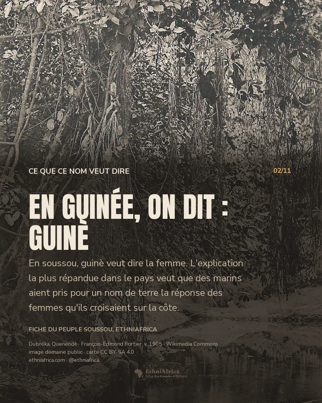 Carte postale ancienne : un ruisseau en sous-bois, un grand arbre aux longues lianes retombantes, et un jeune garçon assis seul sur la berge, les pieds au bord de l'eau.