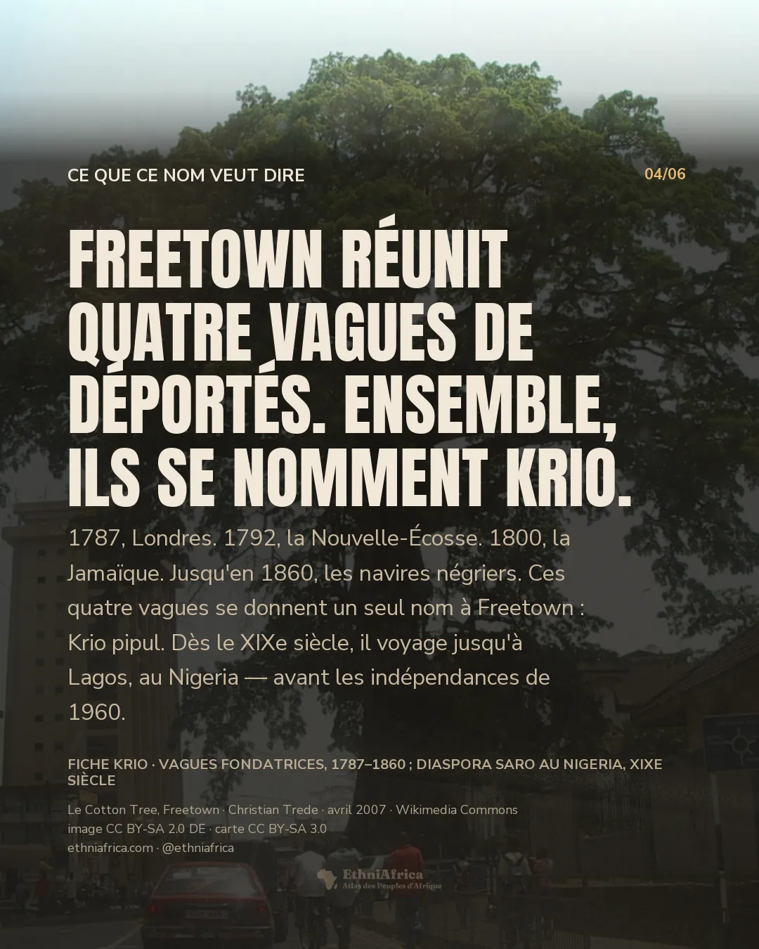 un fromager géant au feuillage large dominant un carrefour du centre de Freetown, entre un immeuble moderne et un bâtiment colonial à toit rouge, des passants et des véhicules en contrebas